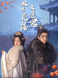 双生花落又逢君 全集(大结局)